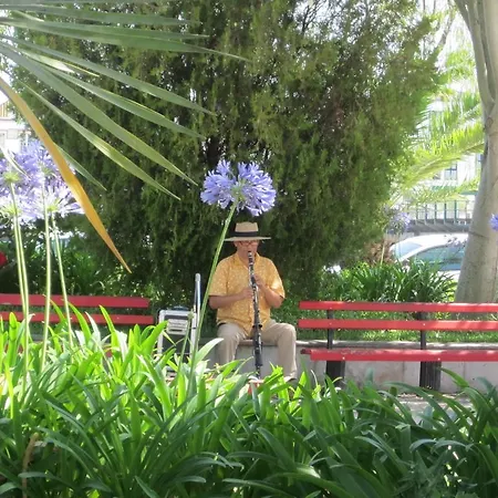 Luxury Duplex With Pool 公寓 *