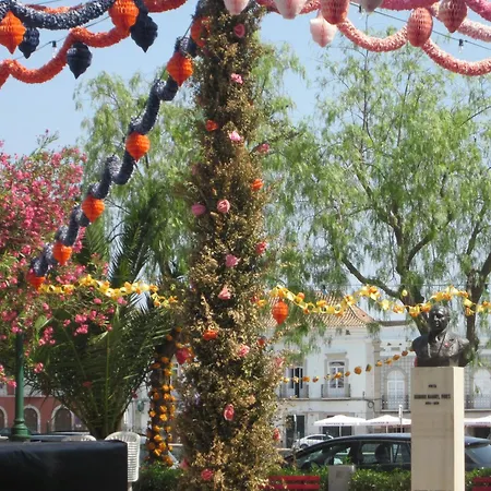 Luxury Duplex With Pool 公寓 *