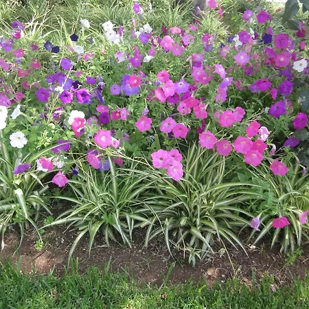 Апартаменты Luxury Duplex With Pool Кабанаш-де-Тавира